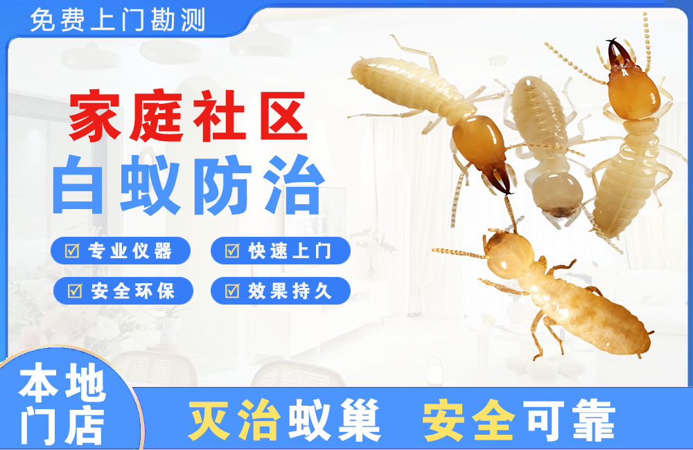华蓥家庭社区白蚁防治