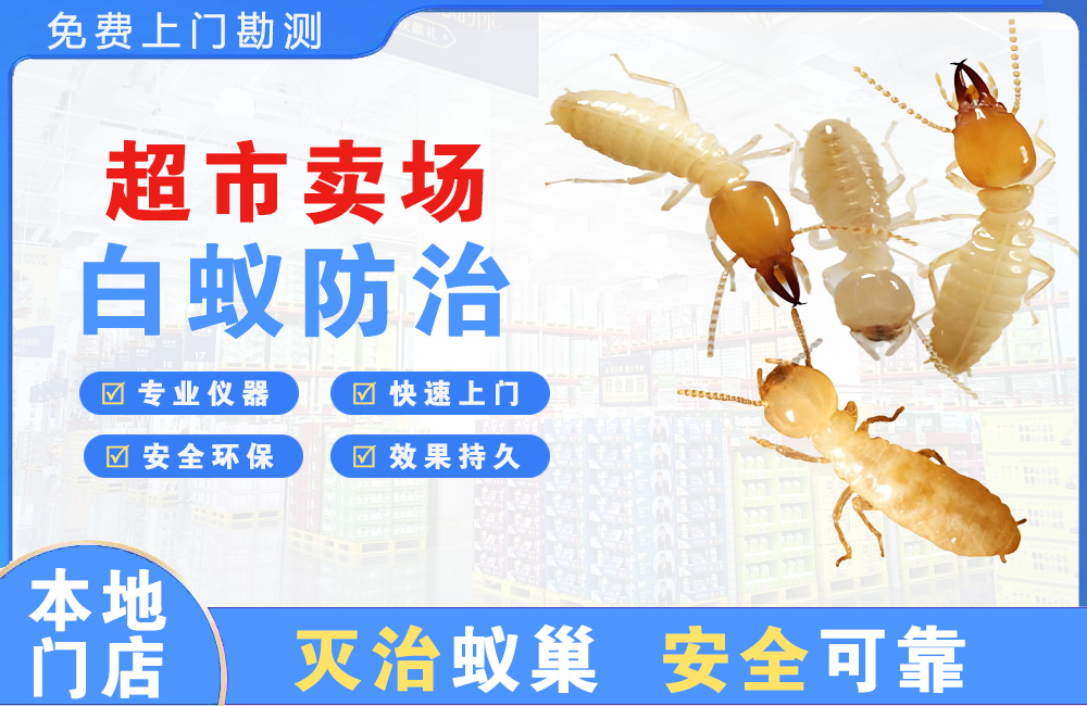 华蓥超市卖场白蚁防治