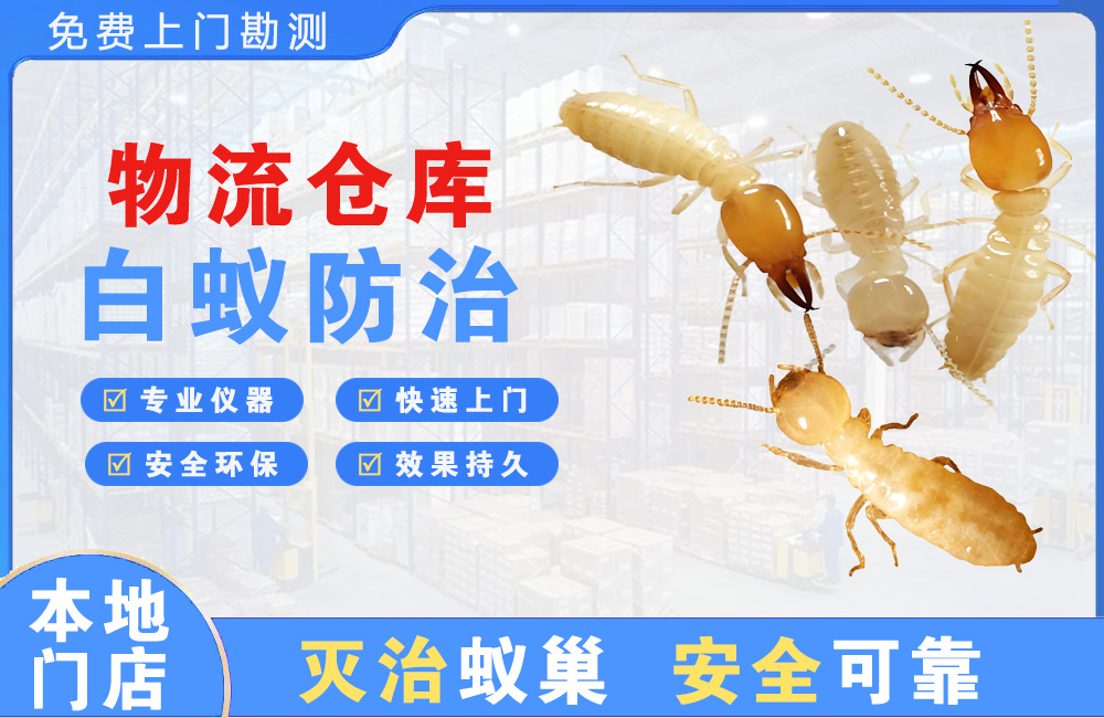 华蓥物流仓库白蚁防治
