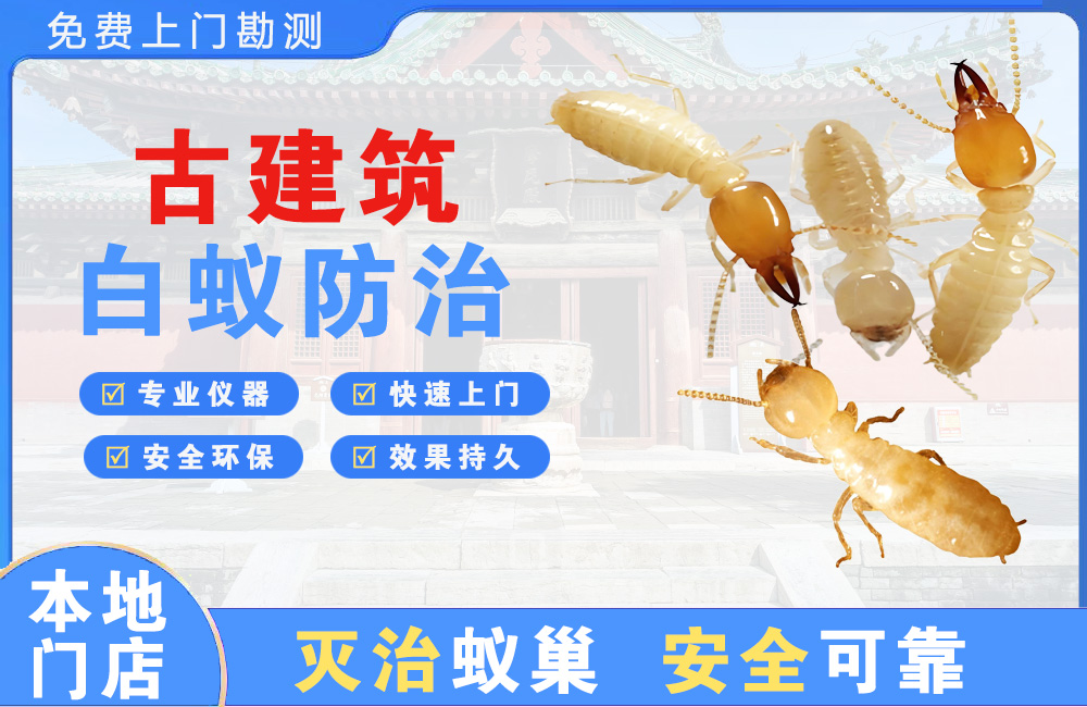华蓥古建筑白蚁防治