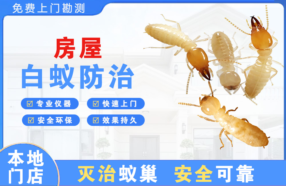 华蓥房屋白蚁防治