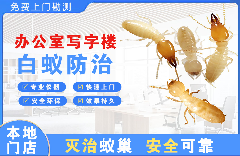 华蓥办公室写字楼白蚁防治