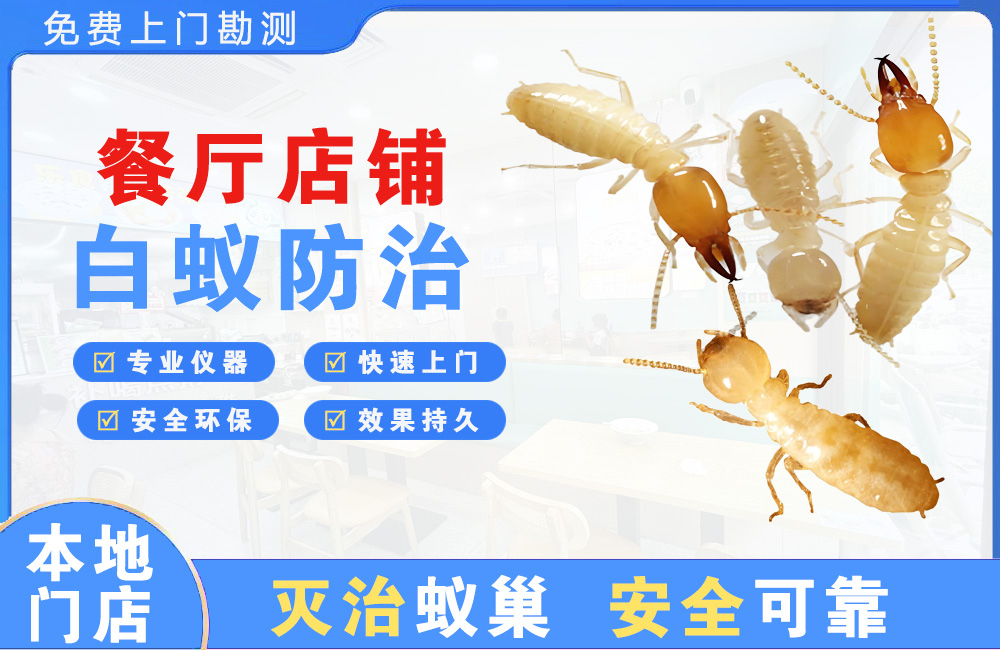 华蓥餐厅店铺白蚁防治